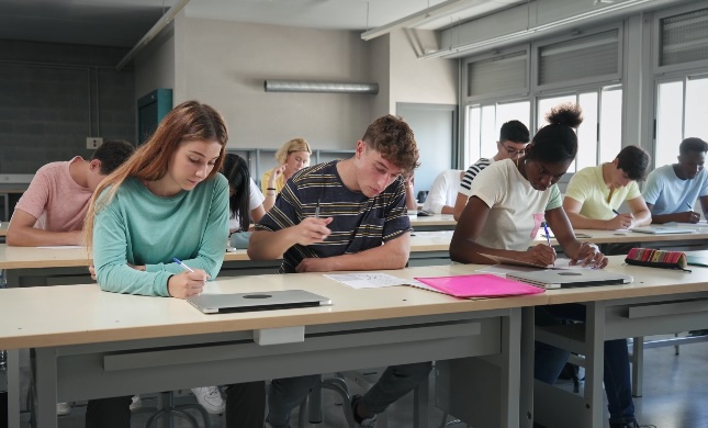 Sessions d'étude intensive - Boot camp d'excellence